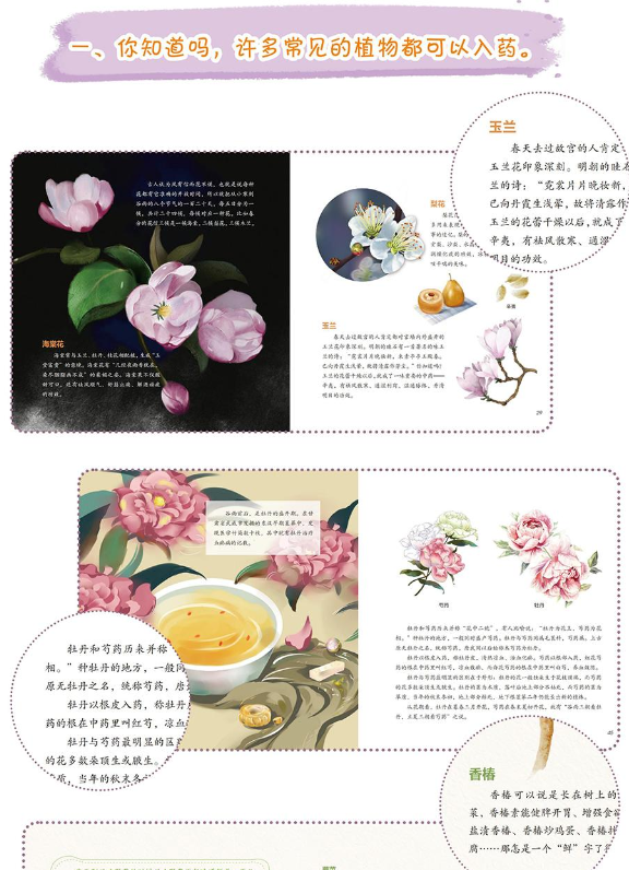 Thumbnail: 藏在中药里的二十四节气 (全四册)