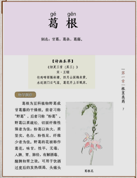 Thumbnail: 药食同源 - 手绘本草