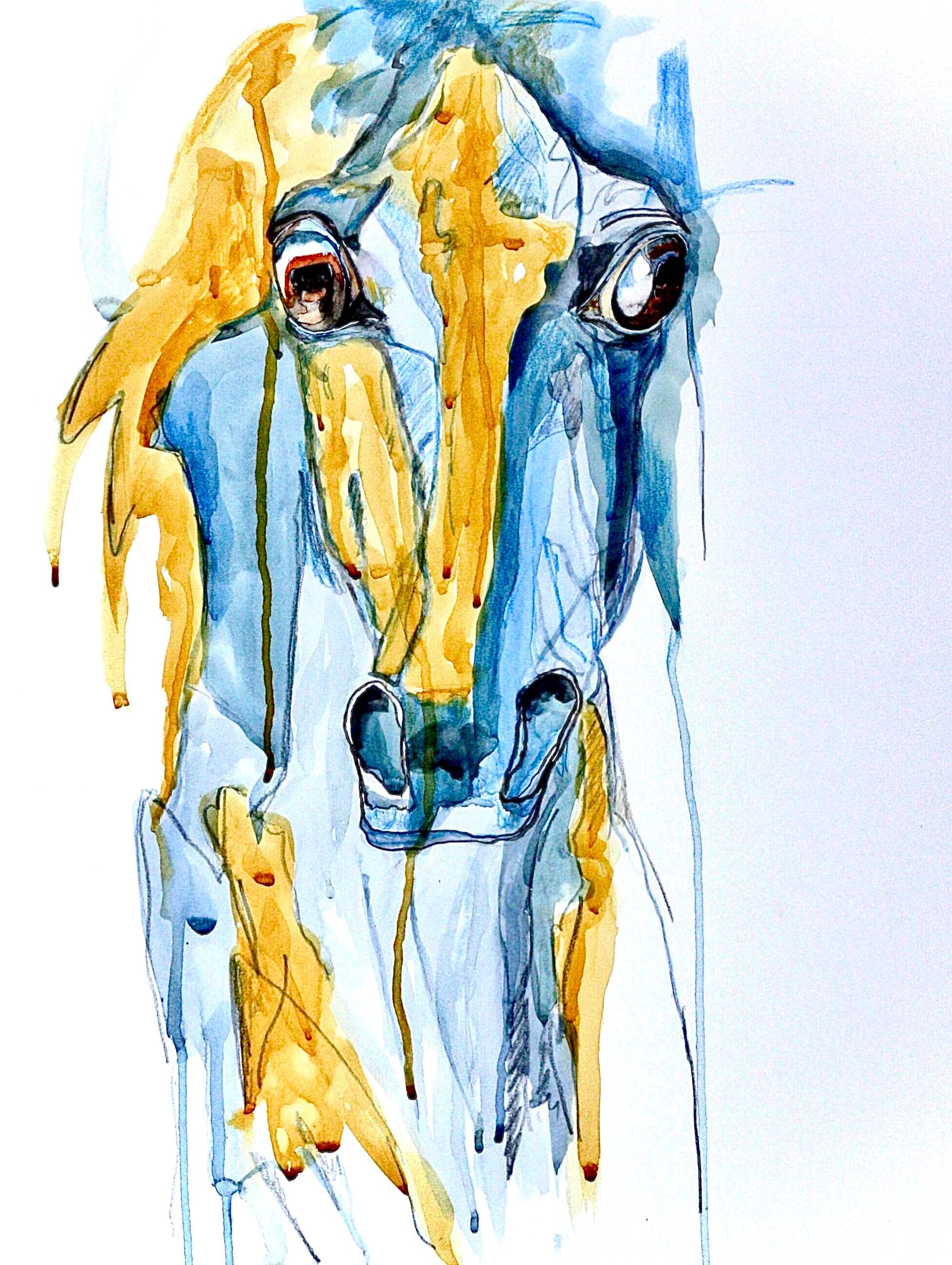 Full Frontal Blue & Yellow horse