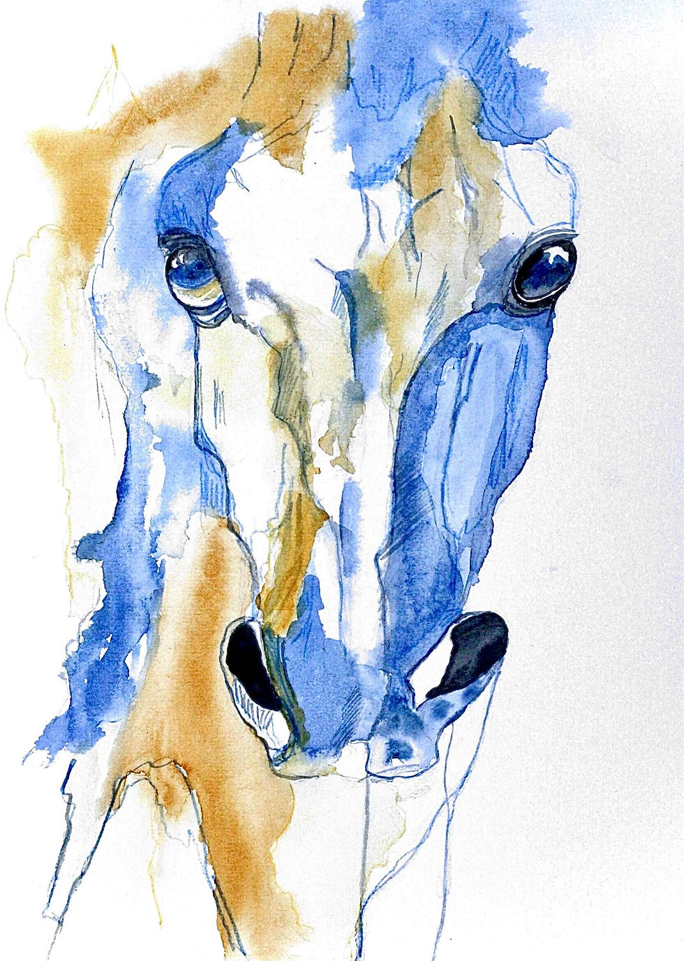 water colour painting of horse head in Blue and gold using wet on wet technique