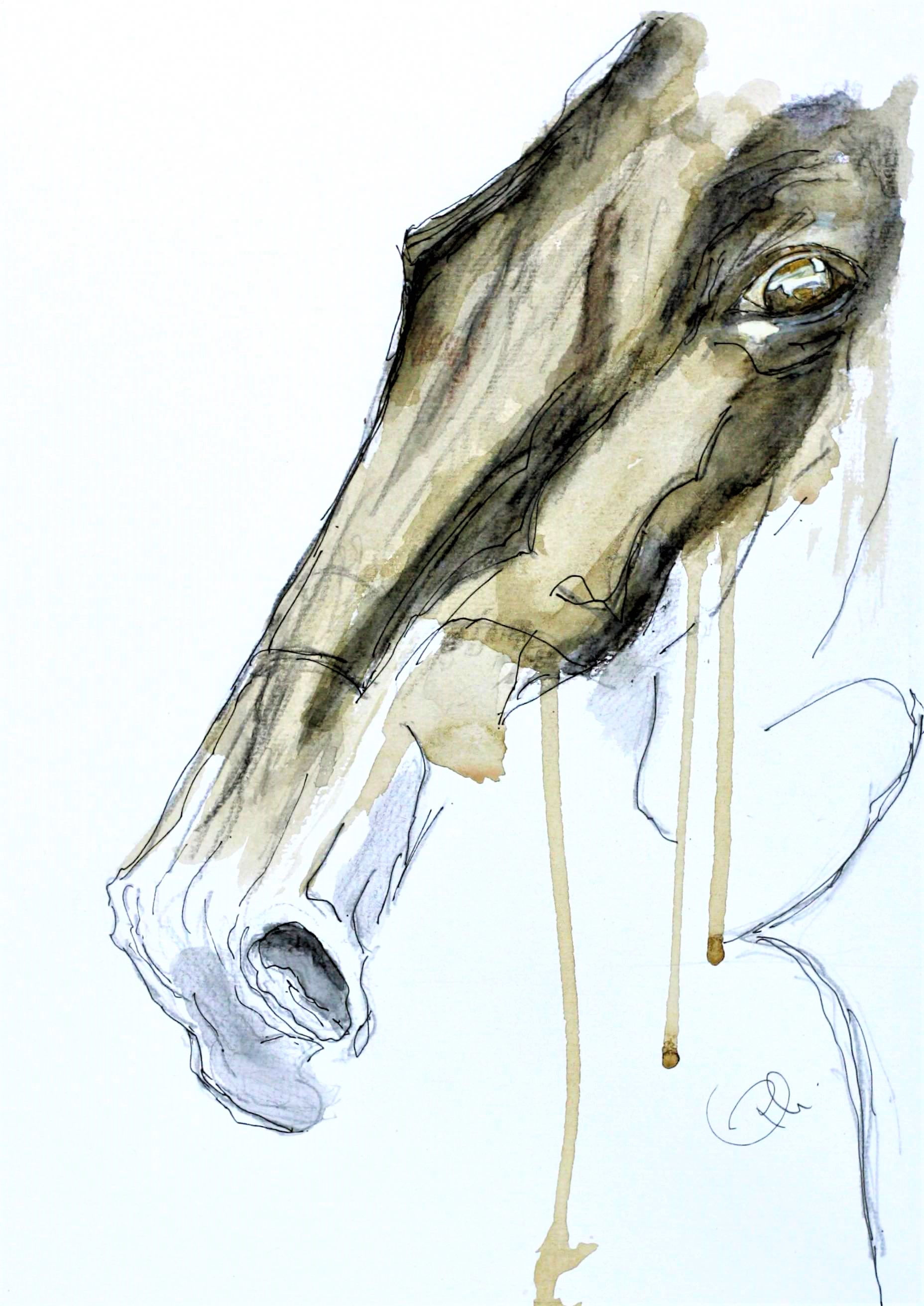 Horse with no Name