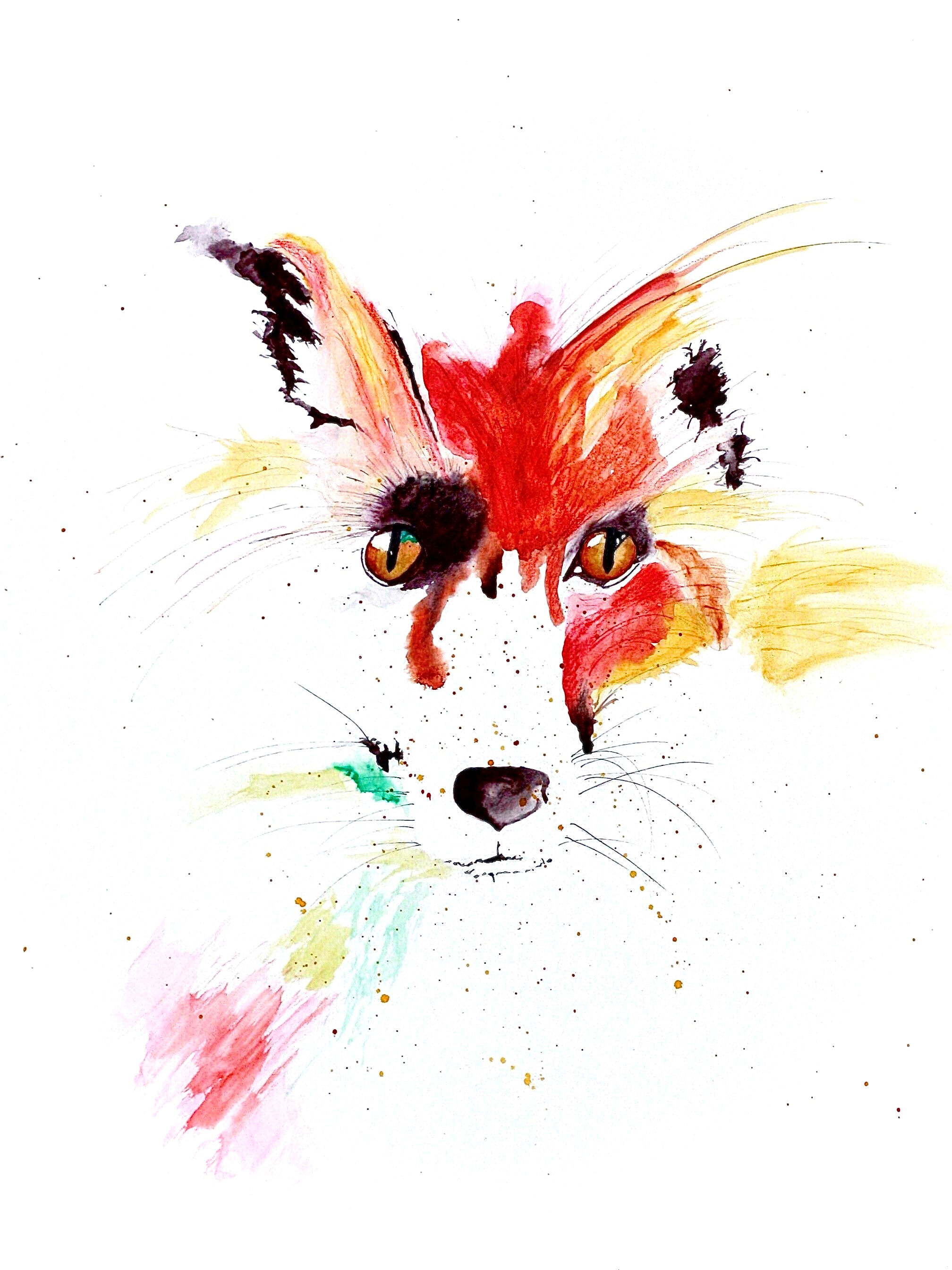 Red Fox