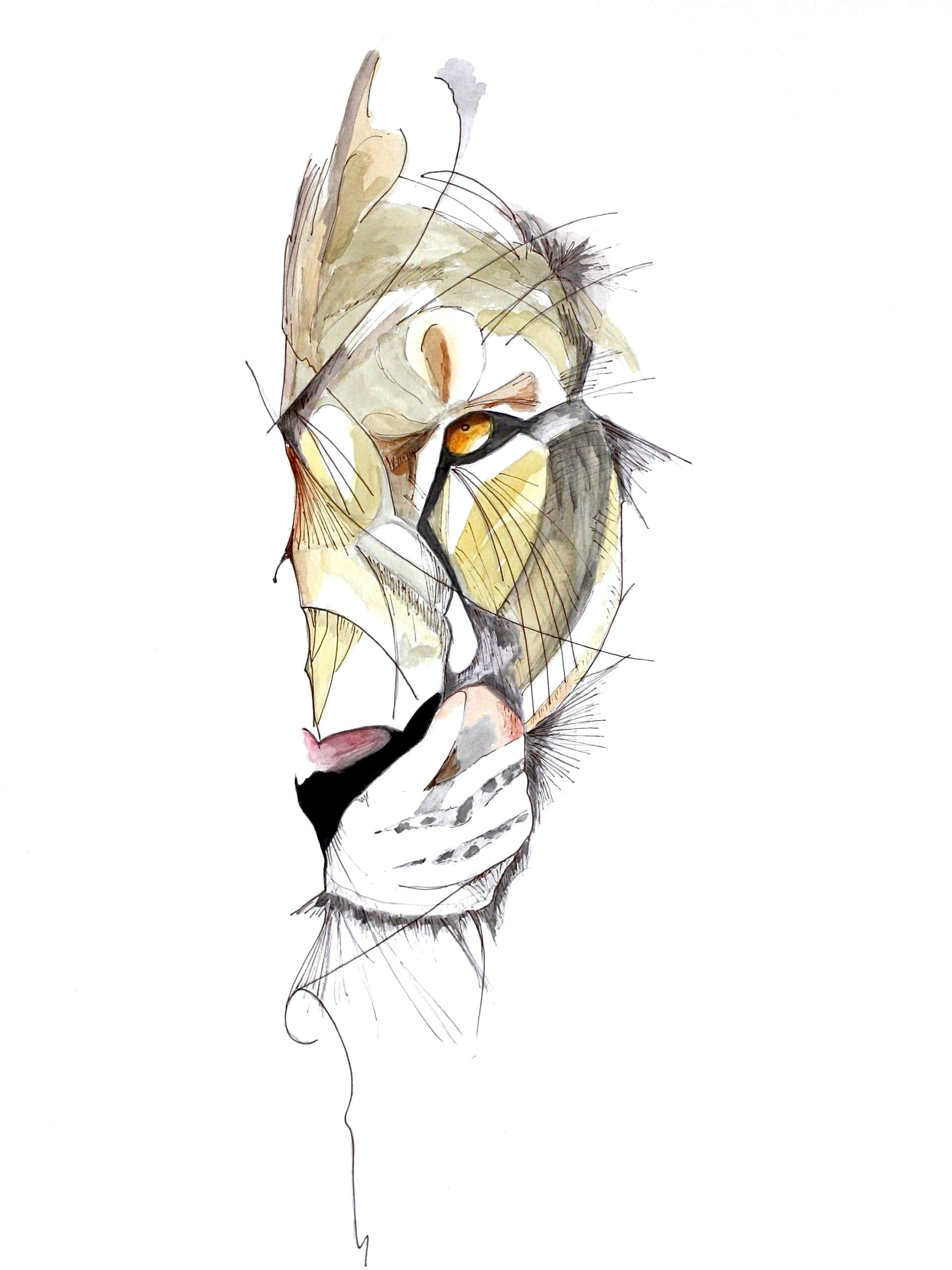 Lioness