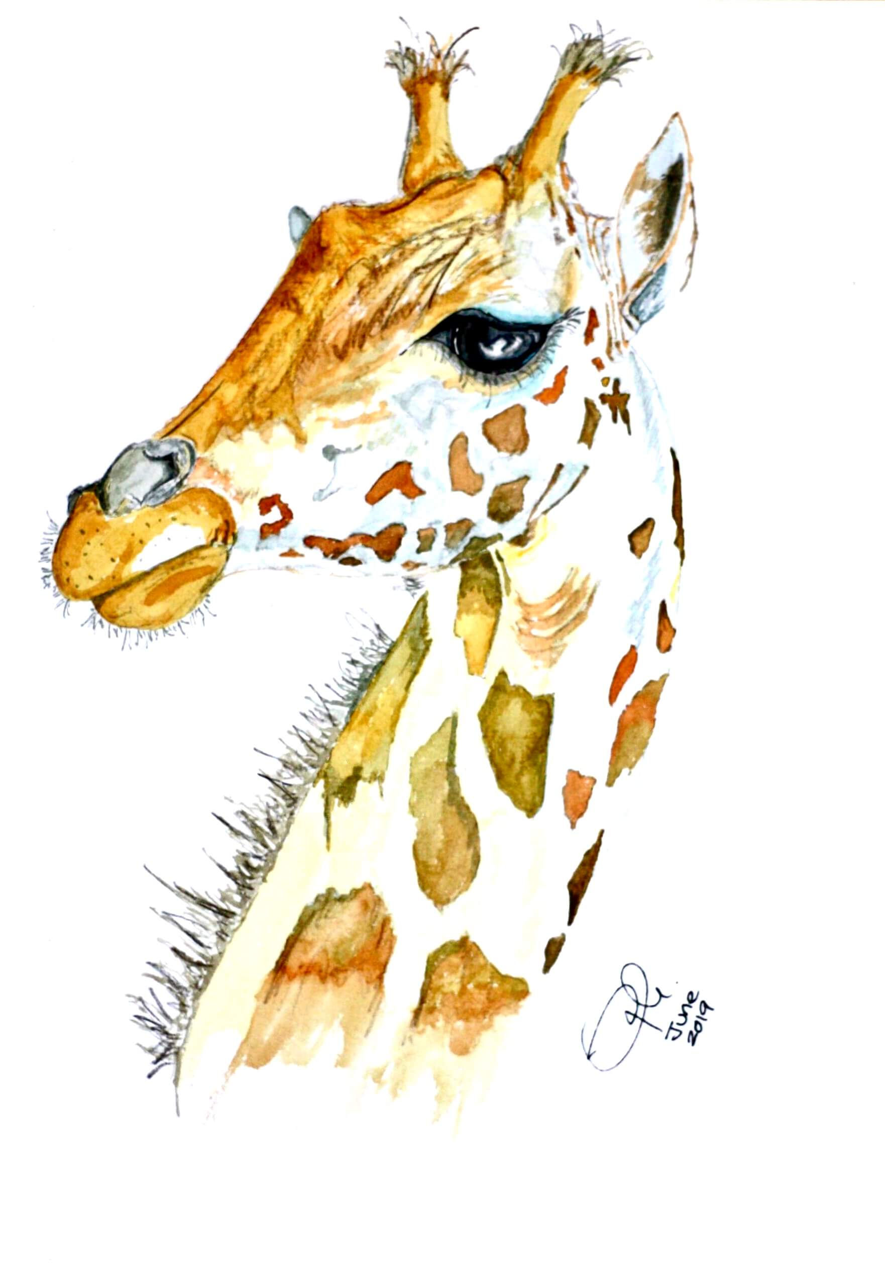 Geoff the Giraffe