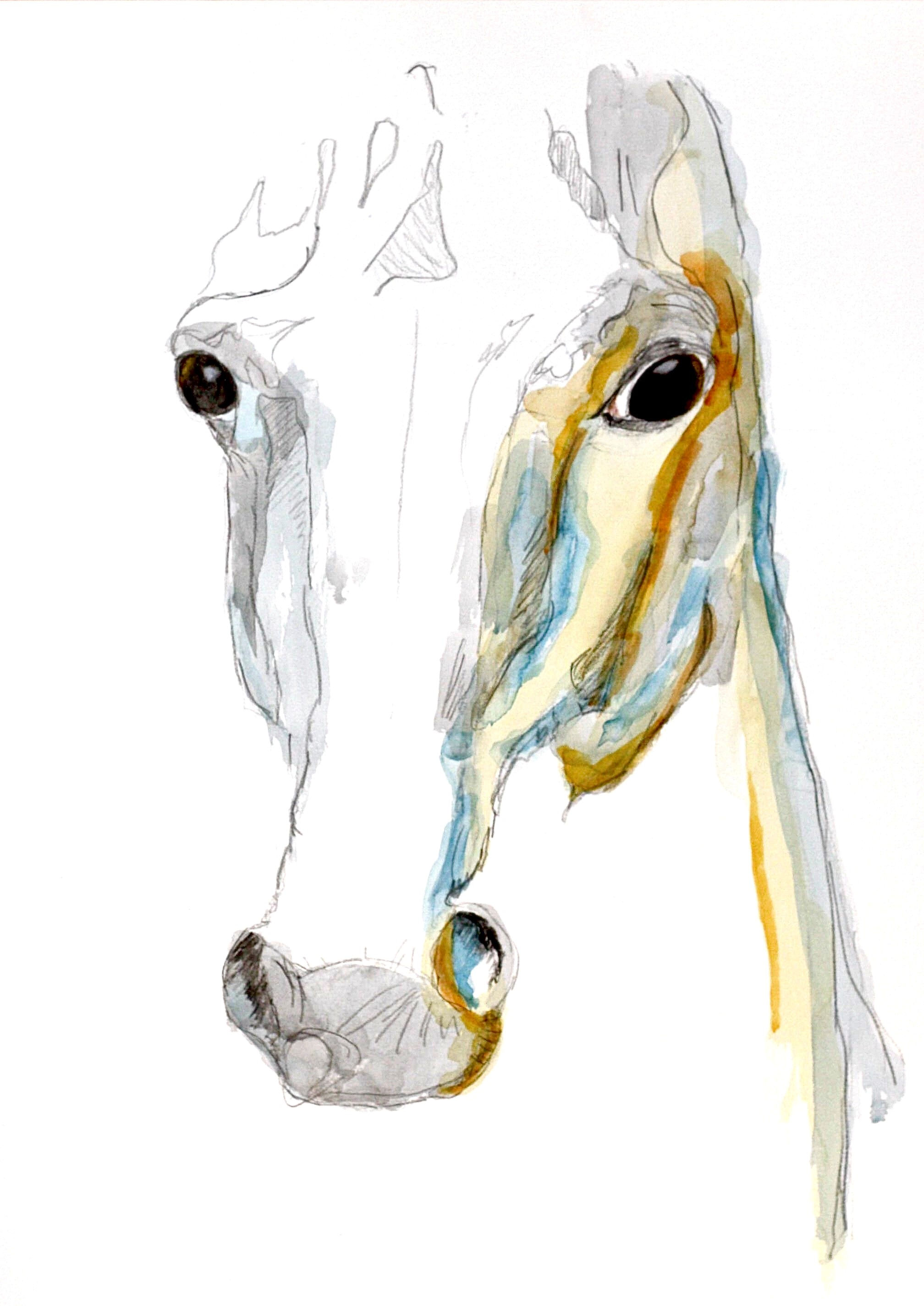 Friendly Horse