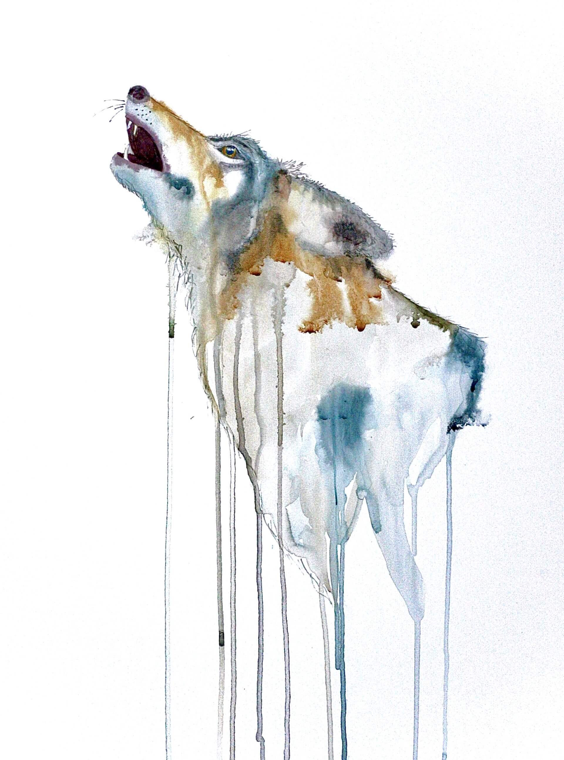 Howling Grey Wolf