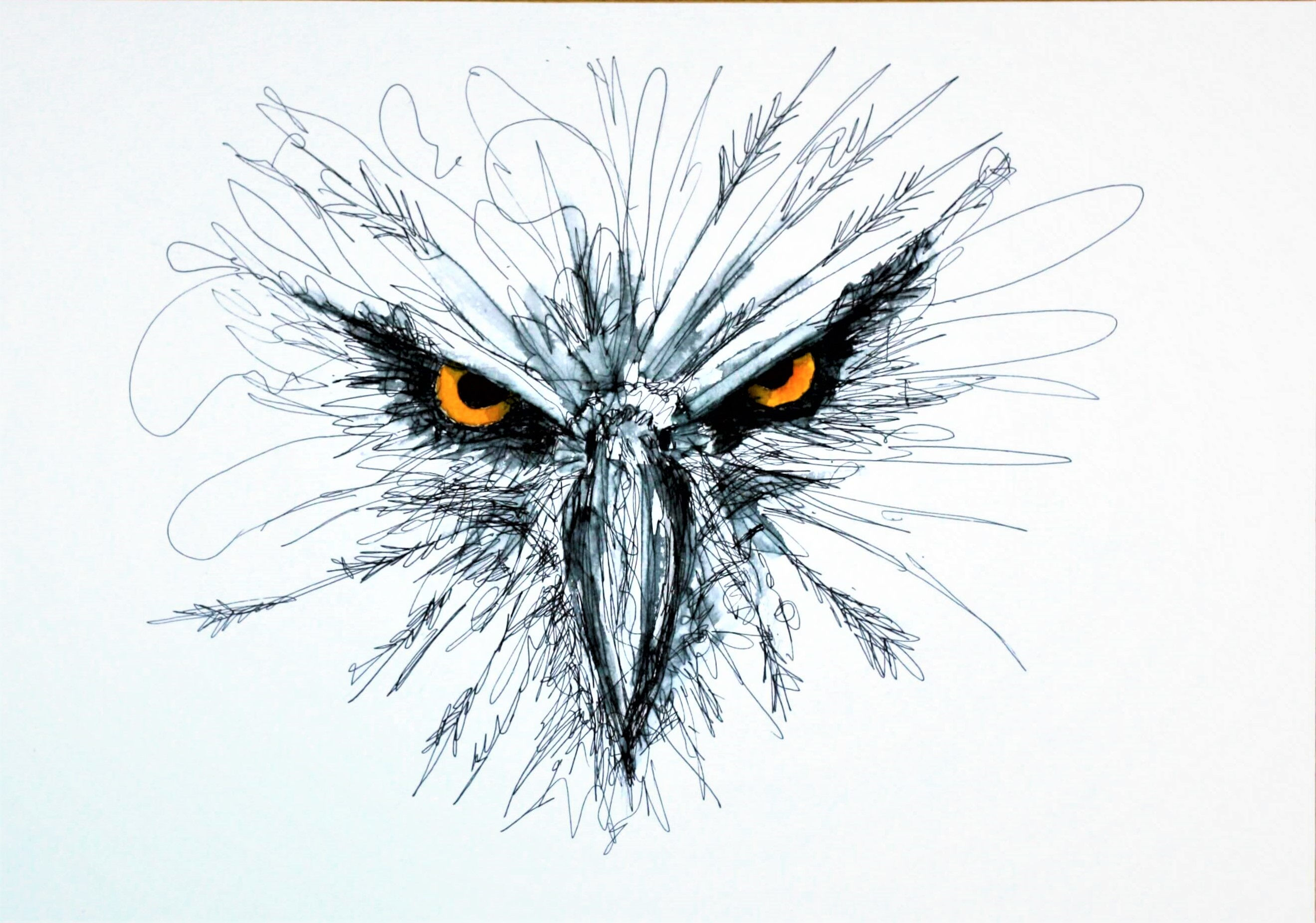 Hawk Eye