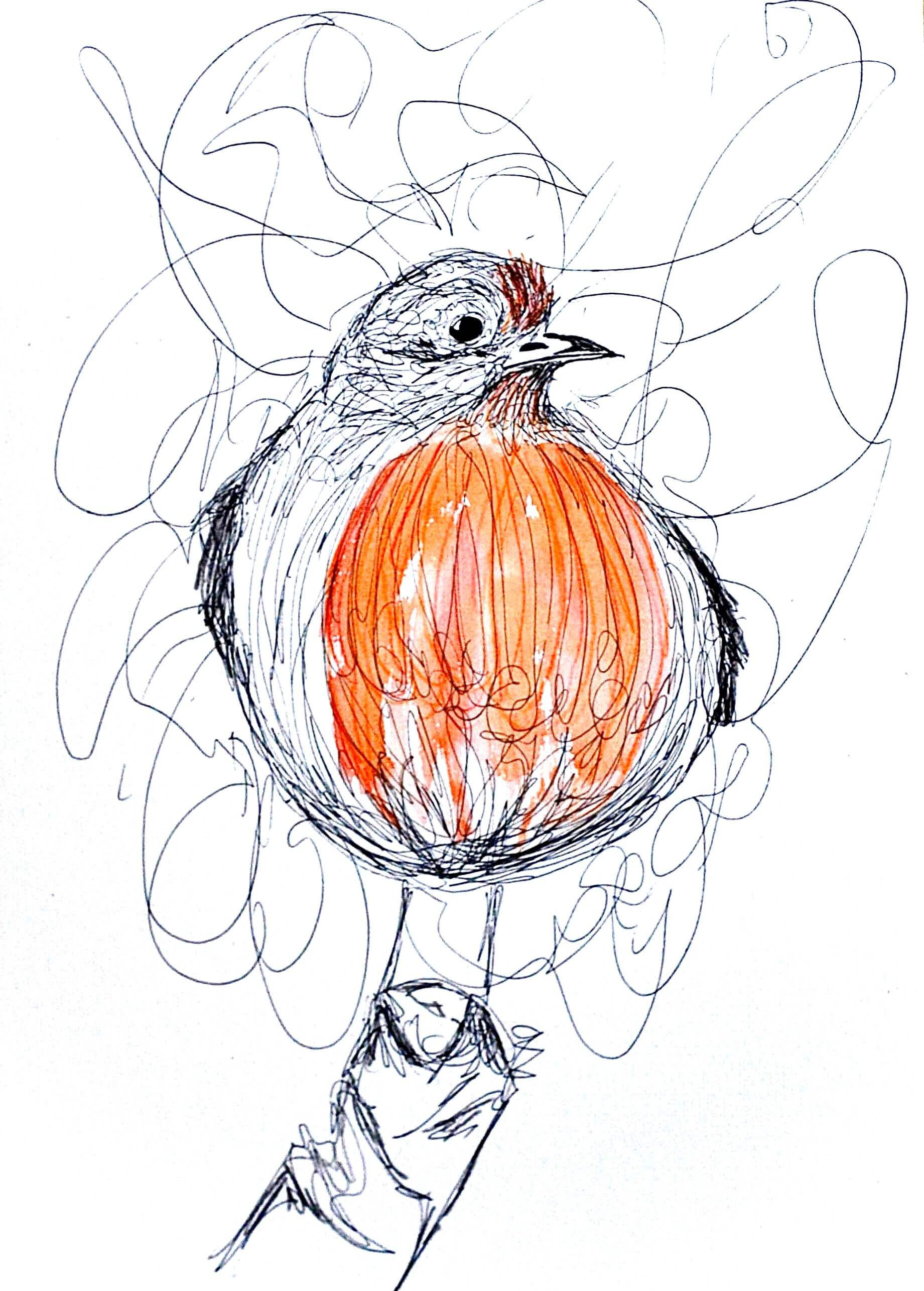 Red Robin Scribble