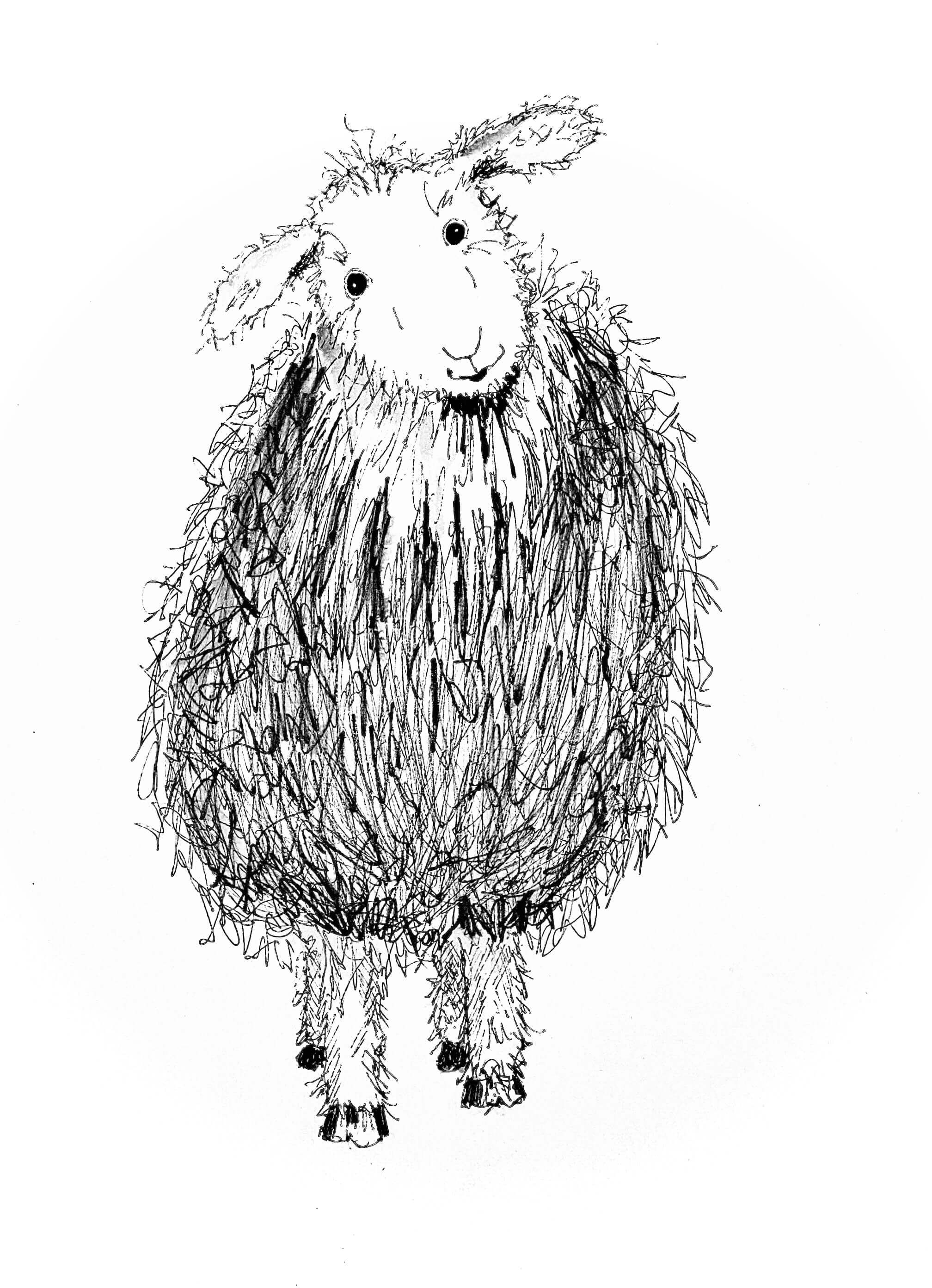 A Sheep for Ruth