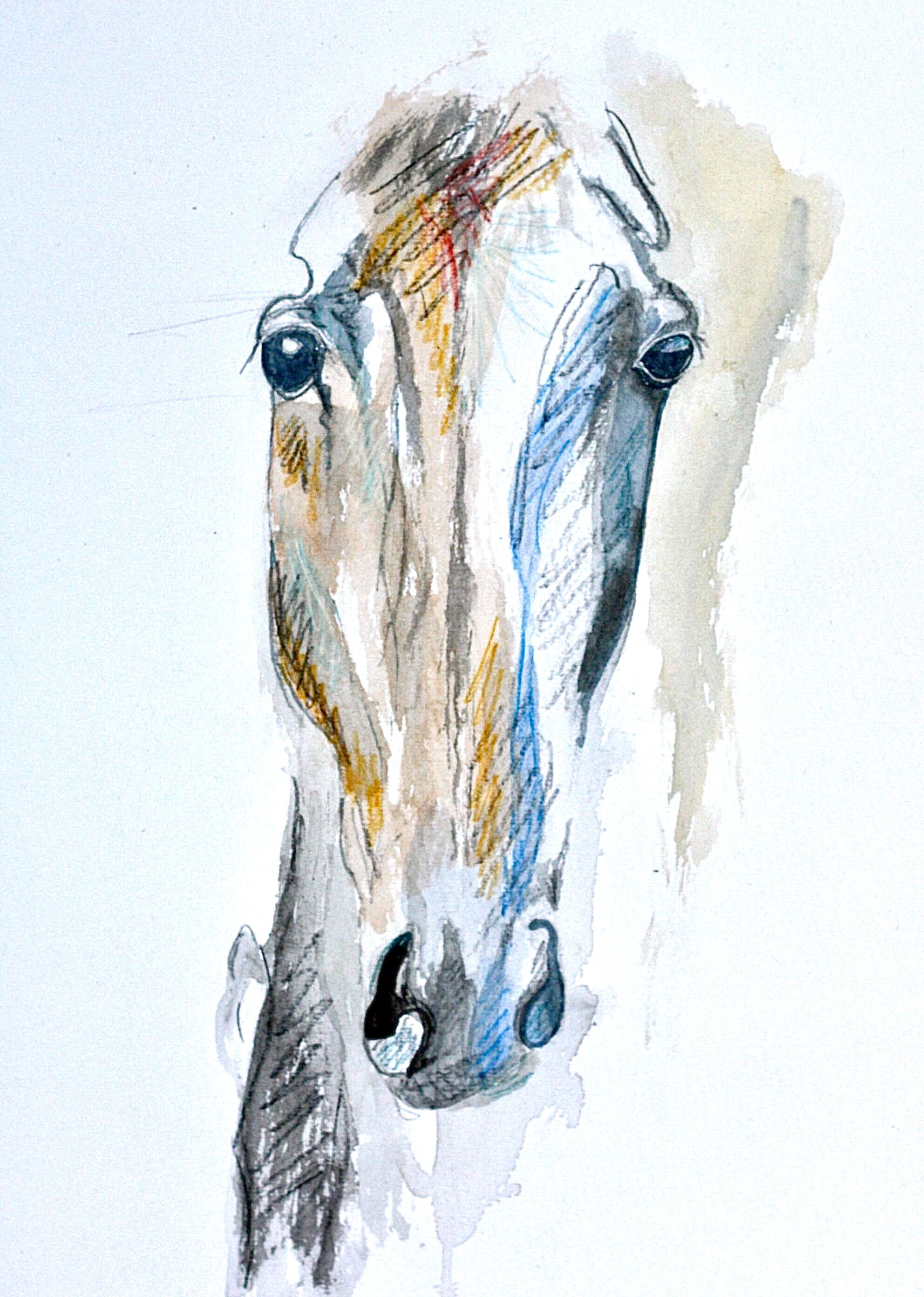 Horse Called "Blue"