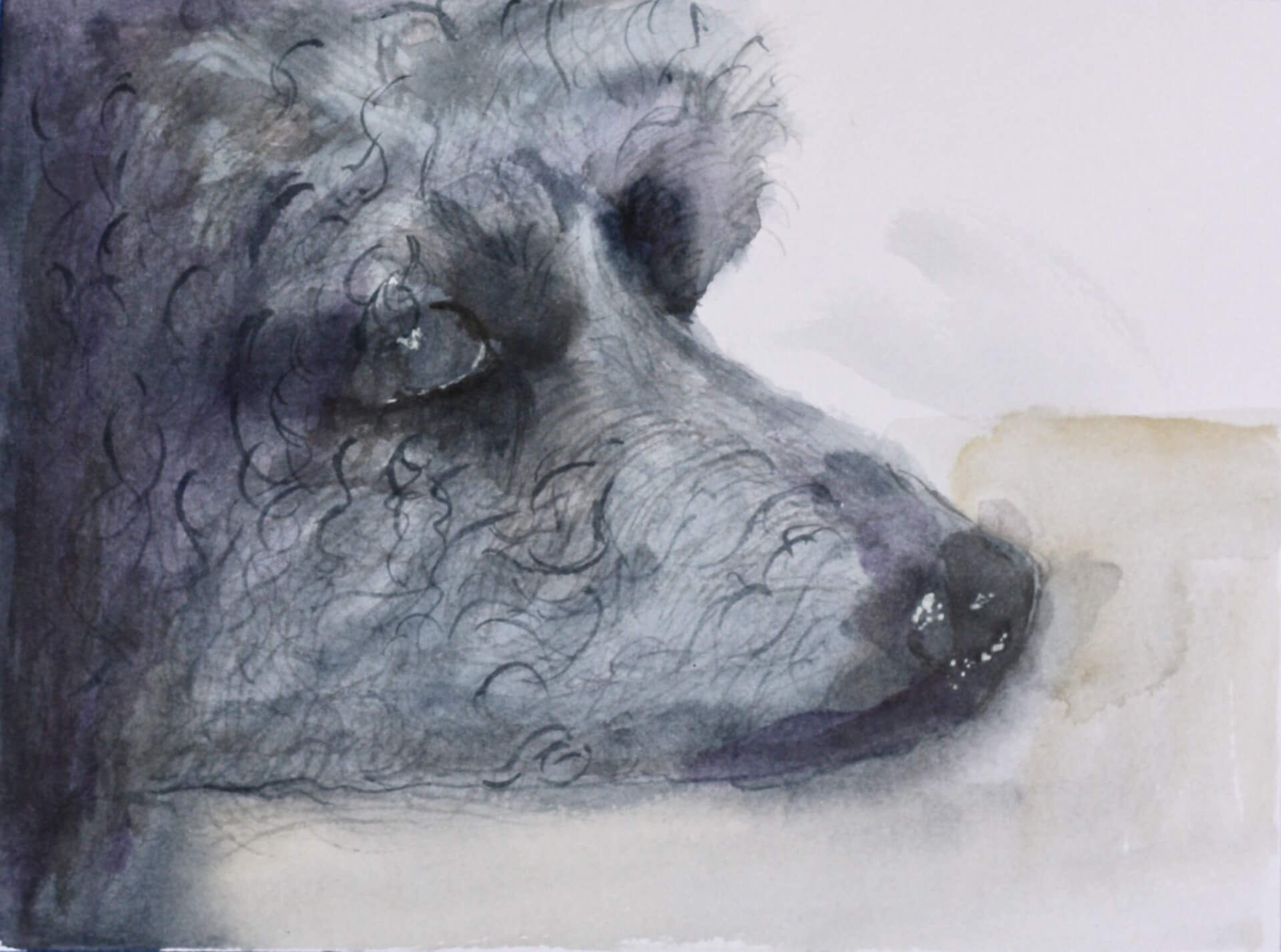Blue the dog