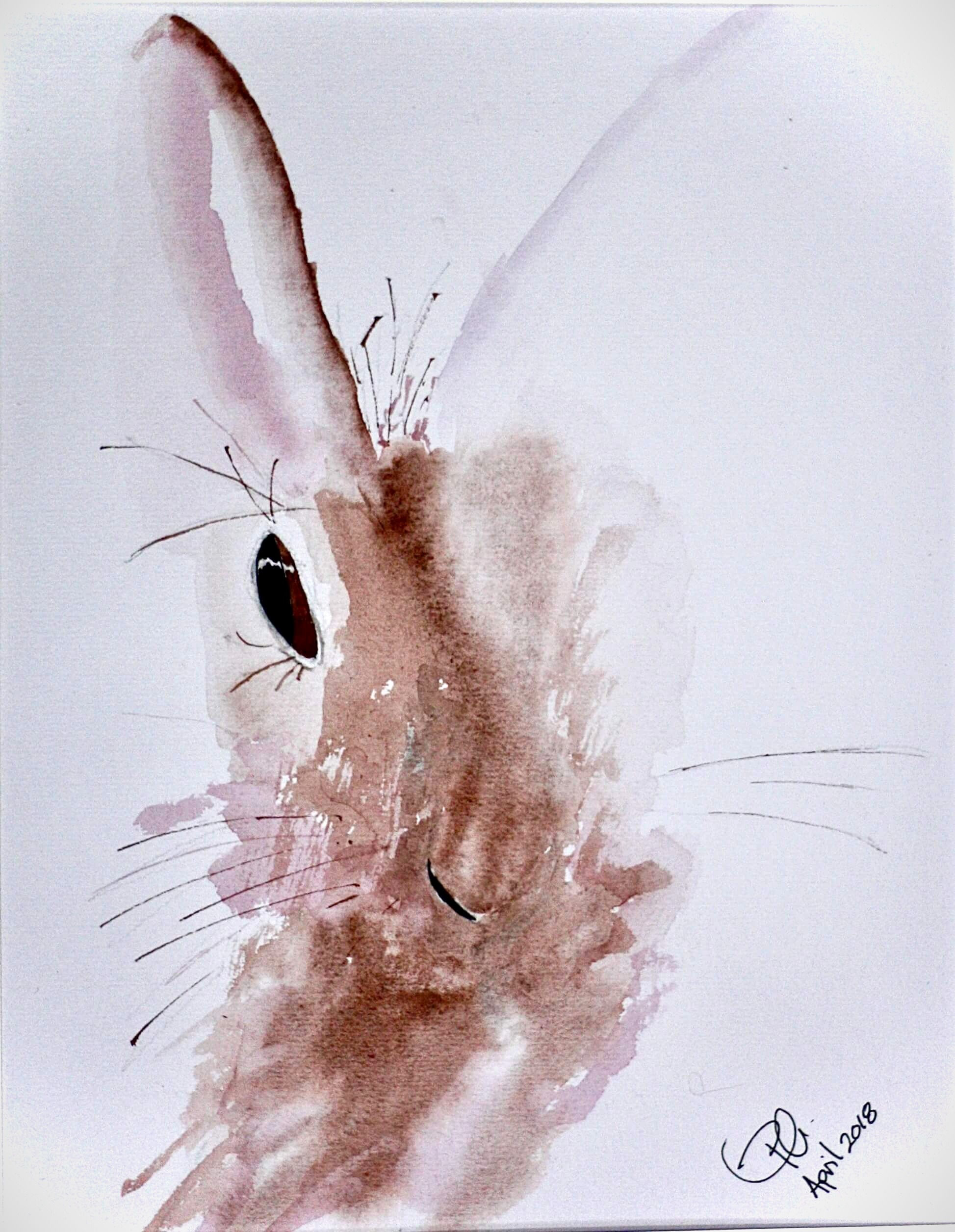 Hare