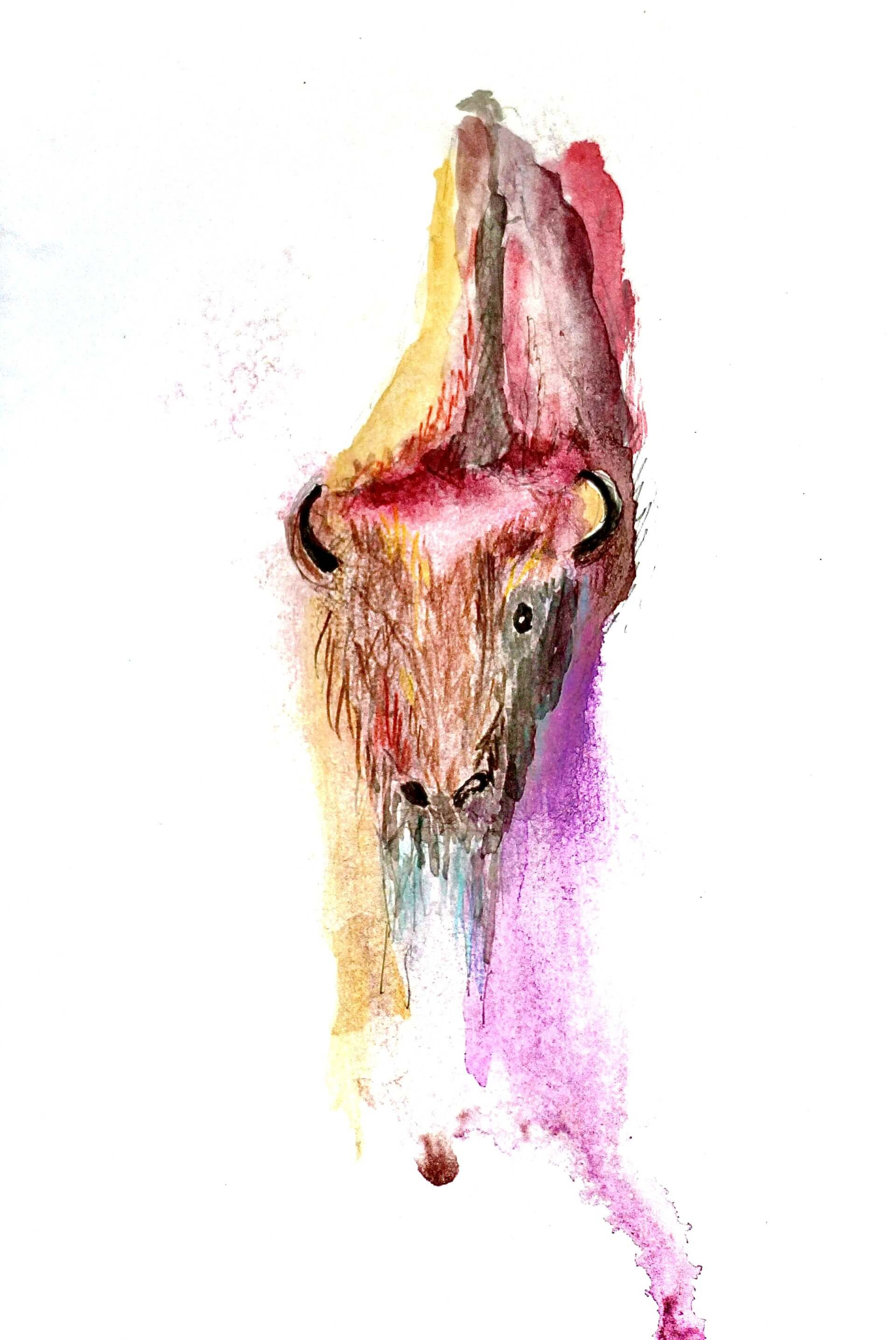 Small colorful Buffalo