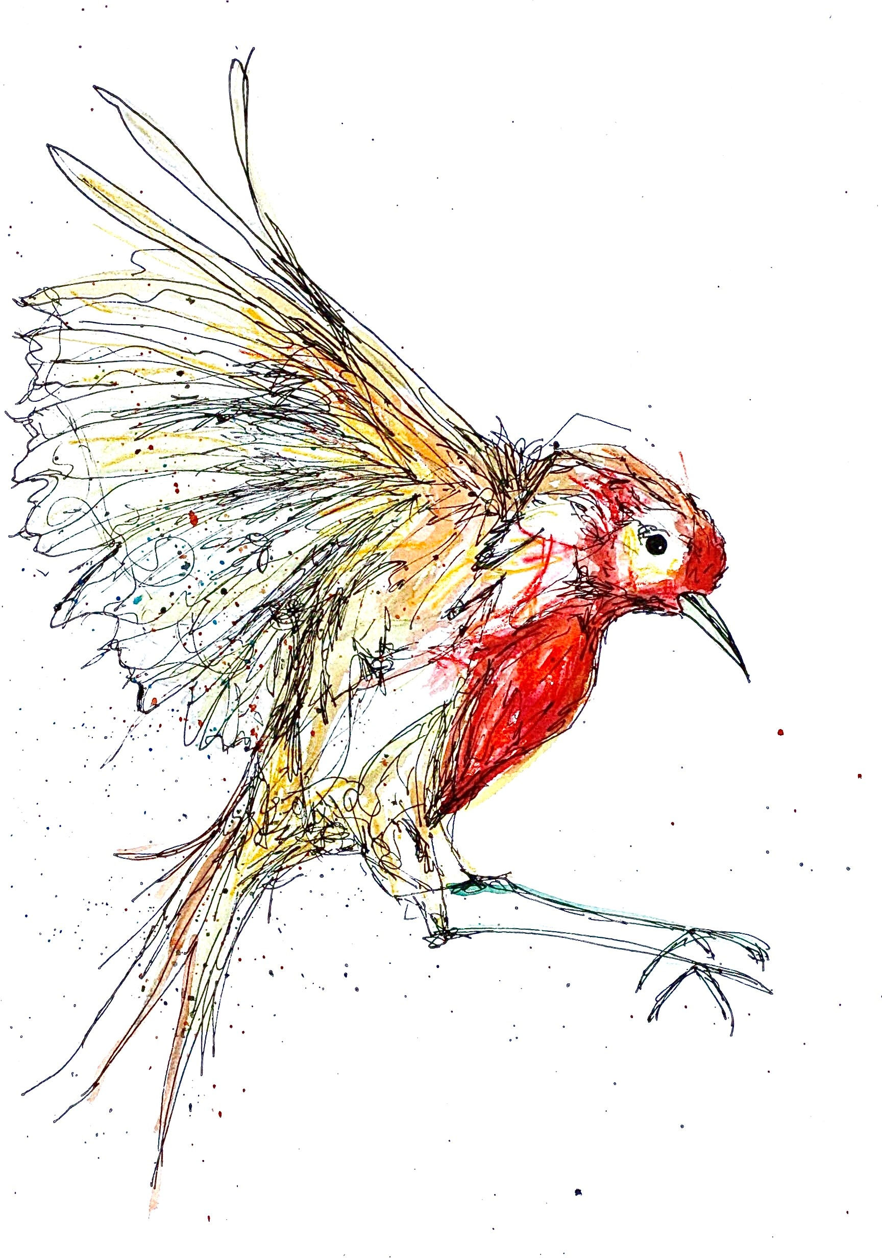 Robin Landing