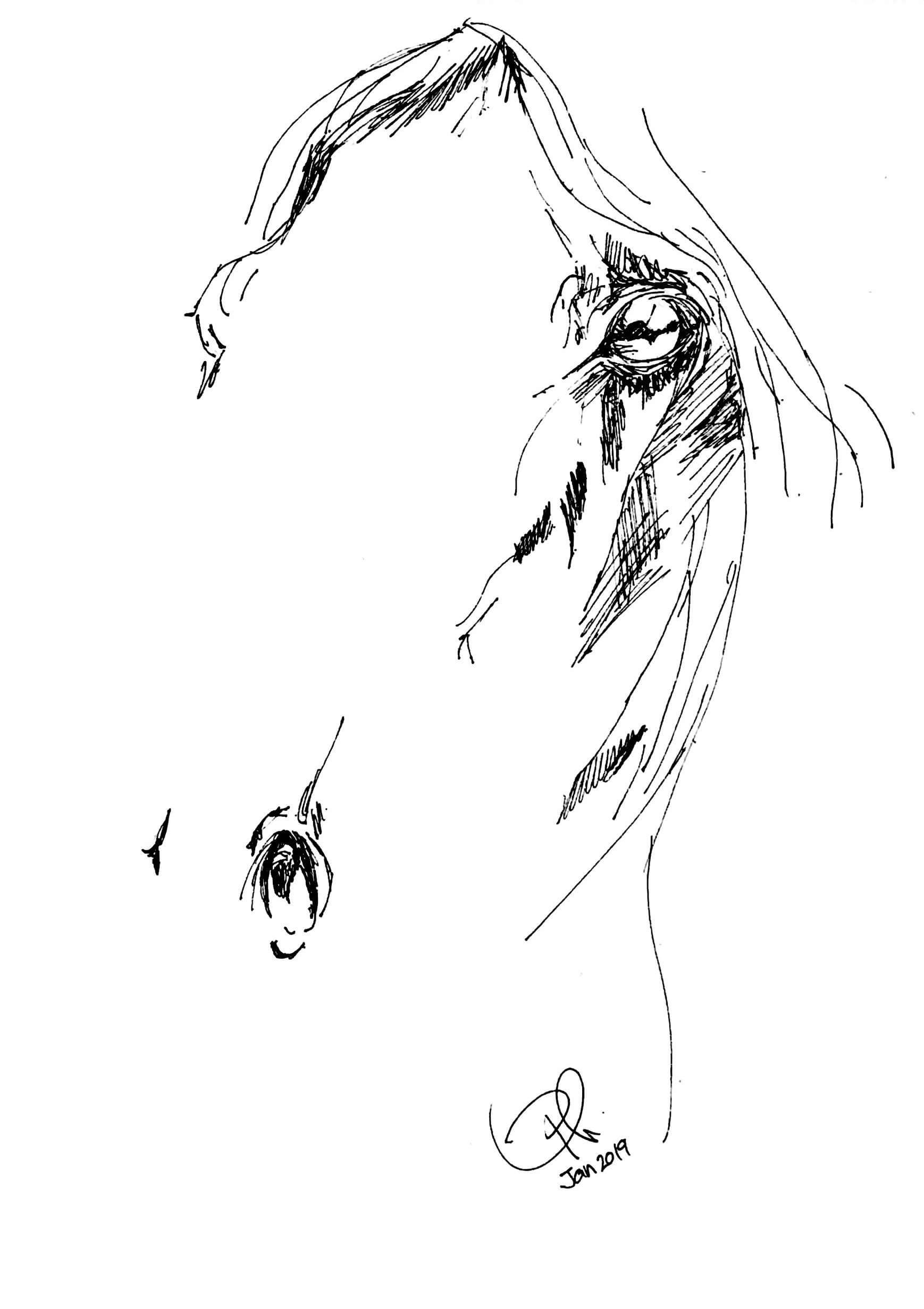 White Horse