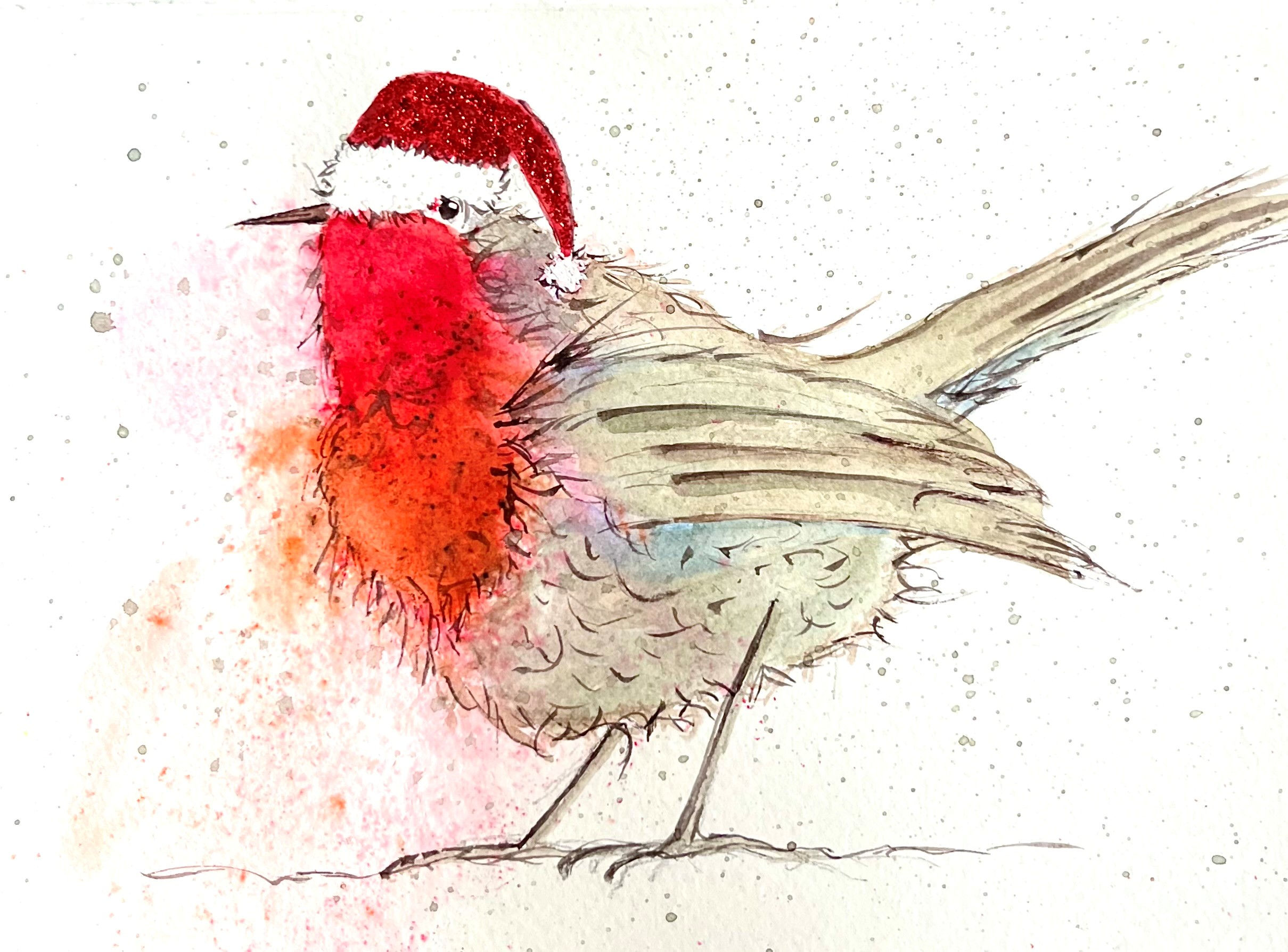 Merry Robin for Christmas