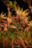 ceb680fe7371bd6b0a73b6366c653fa2.jpg