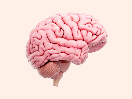 Miracle Brain