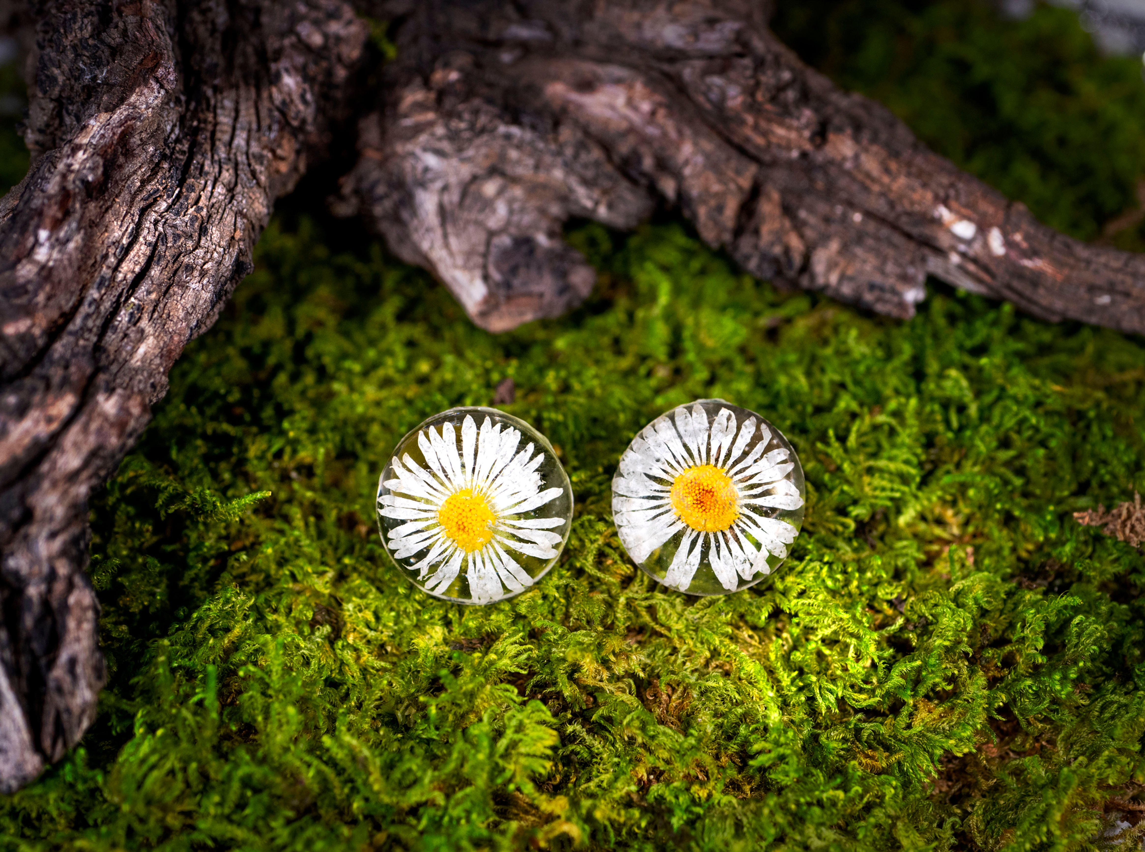 Náušnice pecky s kvetmi sedmokrásky