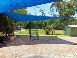 329832422_902782987519695_835718703498838517_n