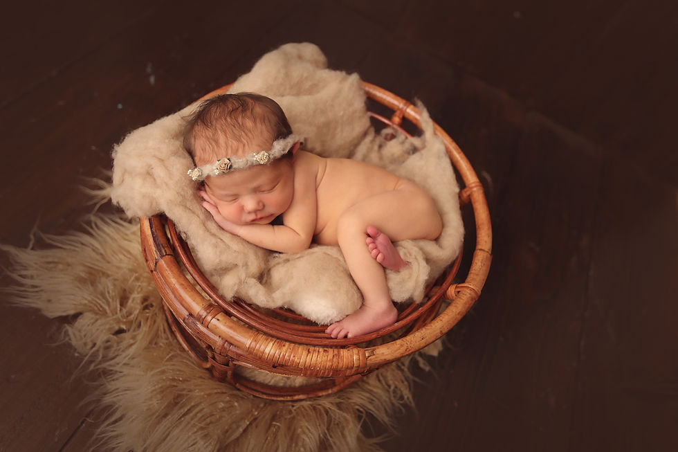 Amy Campbell Photography.jpg