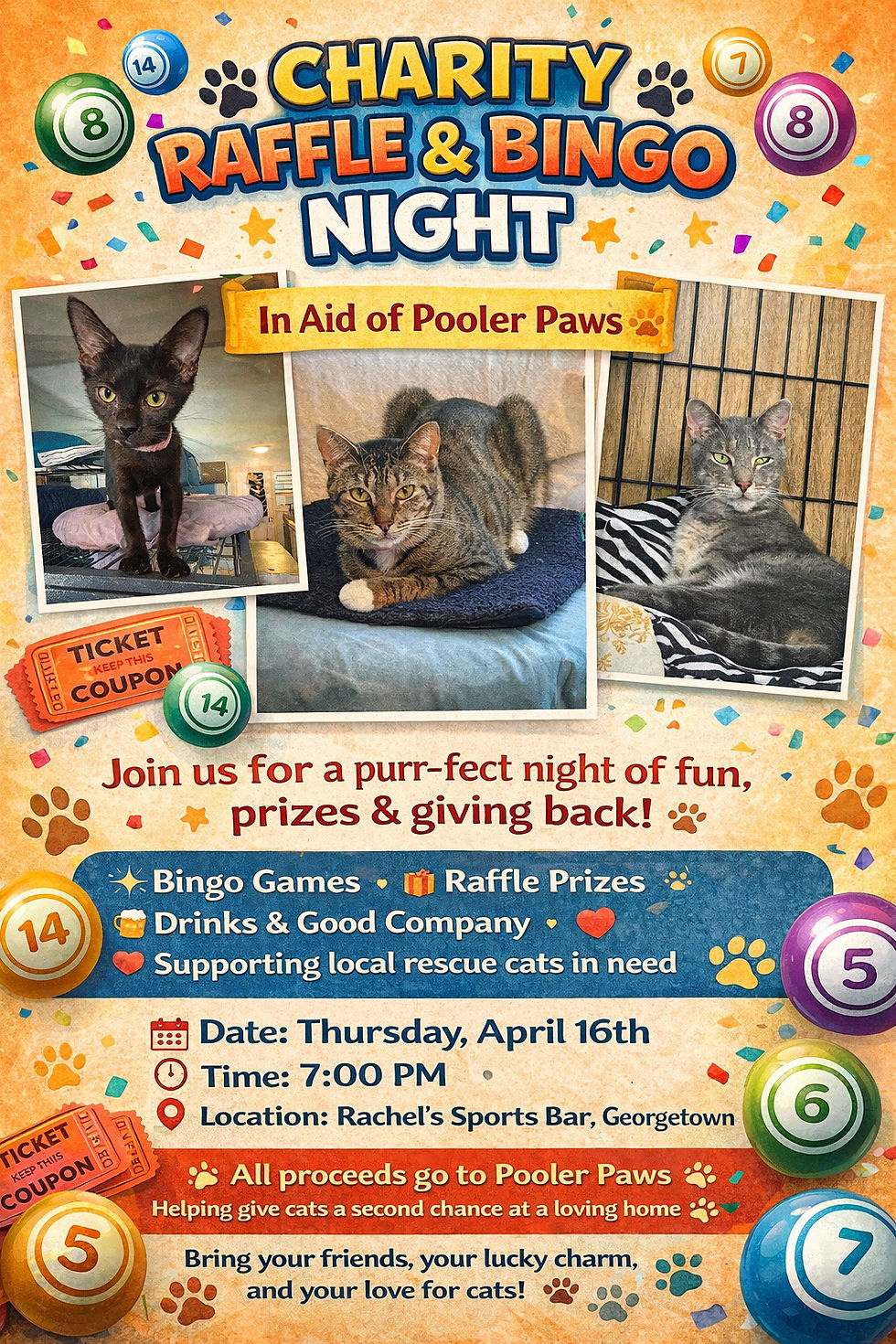 Bingo and Charity Raffle