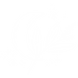 Untitled design (12).png