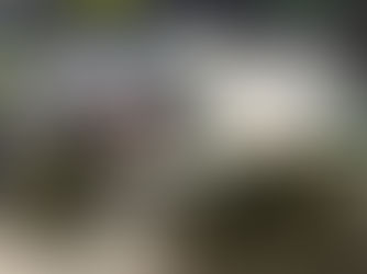 VR: Operação prende sete suspeitos ligados ao TCP e ao Comando Vermelho