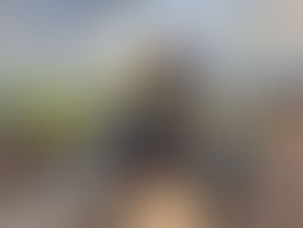 Confira o balanço parcial da Operação Ano Novo no trecho da PRF no Sul Fluminense