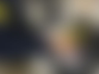 PRF inicia uso de nova arma de choque e capacita agentes