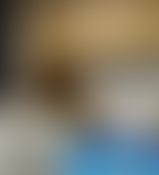 Bolsonaro ficará em cela da PF com 12 m², frigobar e banheiro privado