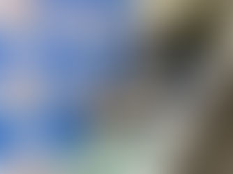 VR: dois menores são apreendidos com armas e drogas em ponto de tráfico no bairro Água Limpa