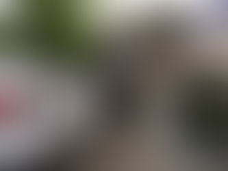 Homem baleado na UPA Santo Agostinho estava foragido e tem oito anotações criminais