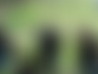 Guarda Municipal de Volta Redonda participa de encontro no Comando
Militar do Leste, no Rio