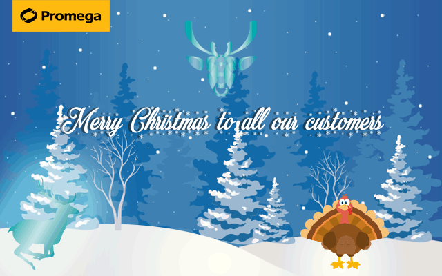 Promega Christmas emailer