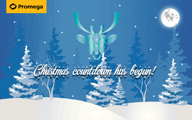 Promega Christmas emailer