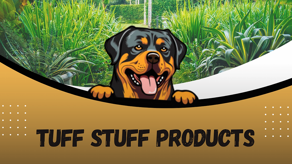 Hotels Business Website.png