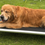 Thumbnail: Ultra Tuff Stuff Silver Frame Bed - XLarge