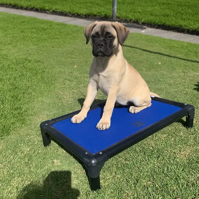 Thumbnail: Supa Plus Black Tuff Stuff Bed - Small