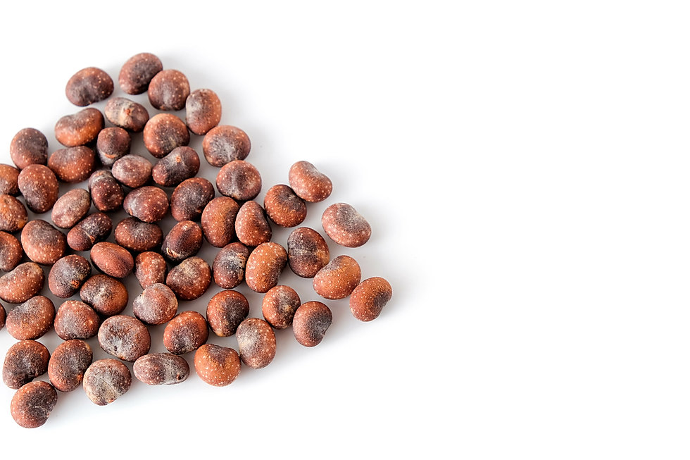 AdobeStock_173784026-baobab.jpeg