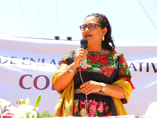 Se volverá a revisar la Cuenta Pública 2020, existen decenas de inconsistencias: Eréndira Isauro