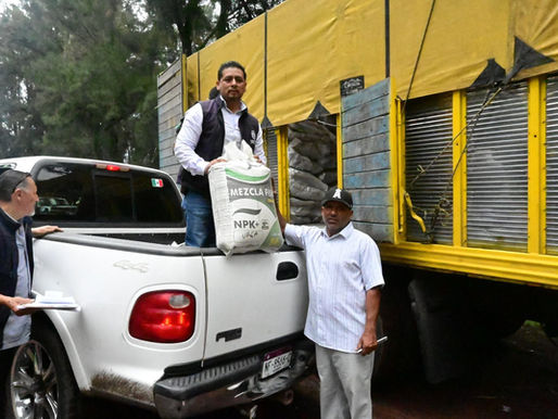Impulsa Tangancícuaro al campo con fertilizante a bajo costo