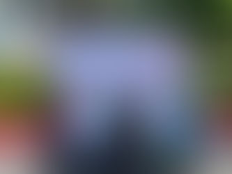 Diputada Belinda Iturbide Regresa a Isaac Arriaga con la Caravana de la Salud