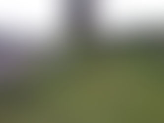 Se realizan trabajos de mantenimiento y limpieza en el municipio de Coeneo