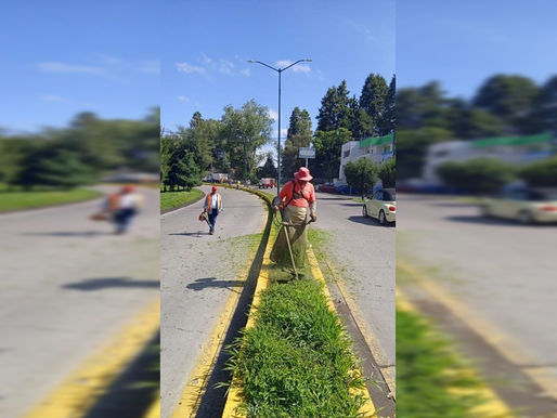 Municipio de Zacapu, brinda mantenimiento permanente a Espacios Públicos.