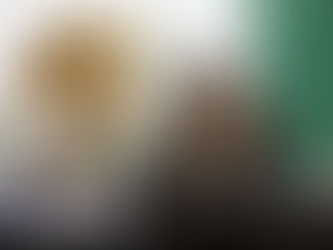 Presentan Sandra Arreola y Alejandro Arévalo iniciativa de Ley de Imagen Institucional para Michoacán