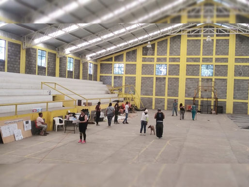 Ayuntamiento de Jiménez realiza primera campaña de esterilización canina y felina