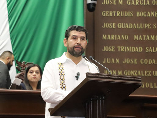 Octavio Ocampo plantea reforma para que las elecciones sean más claras y parejas