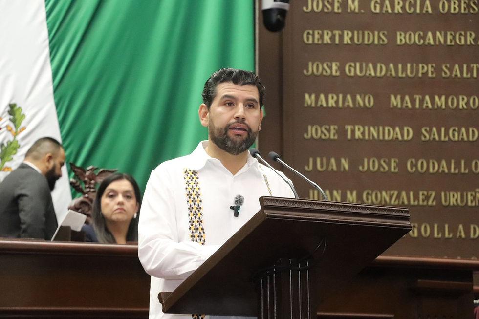 Octavio Ocampo plantea reforma para que las elecciones sean más claras y parejas