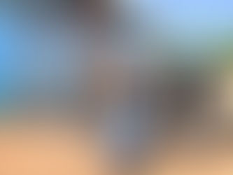 SDIF de Panindícuaro hizo entrega de sillas de ruedas y despensas a personas del municipio